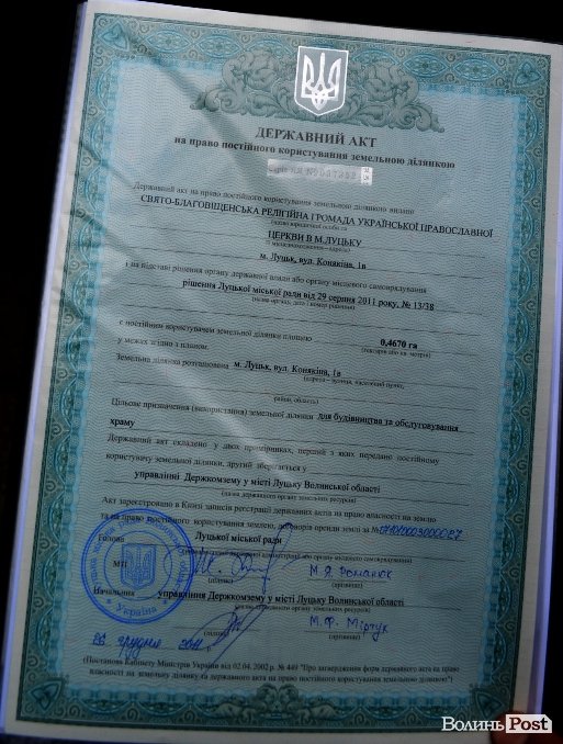 У Луцьку ріжуть дерева, аби збудувати церкву. ФОТО